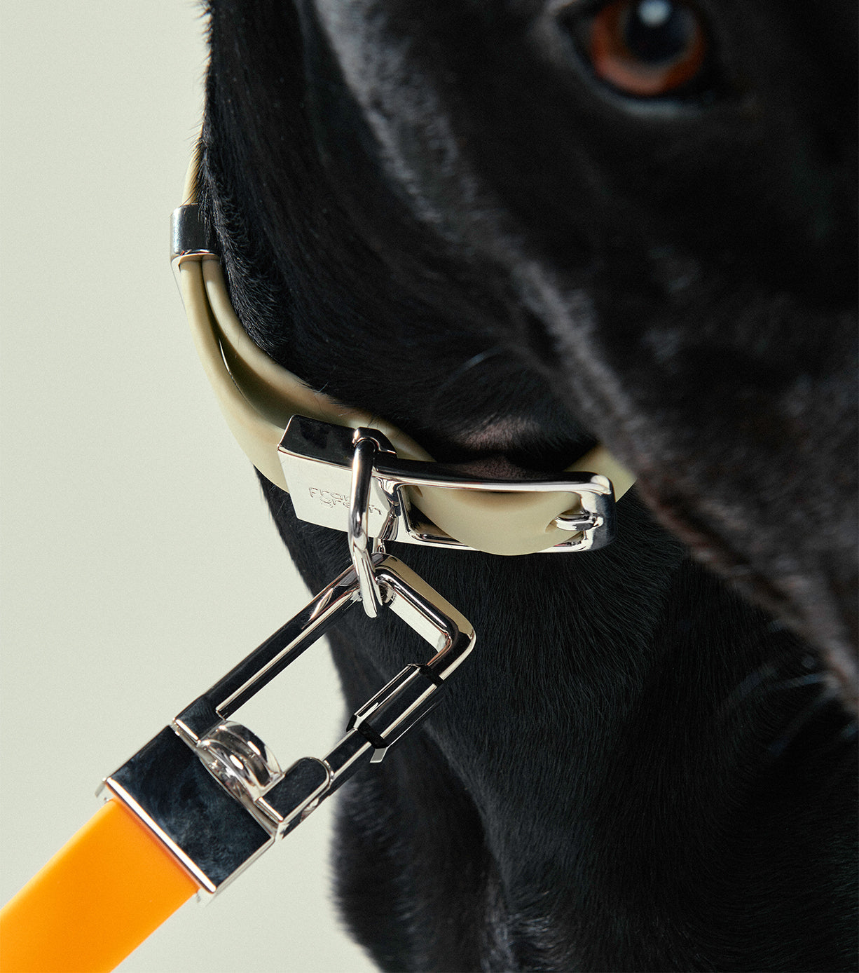 Durable and Adjustable Pet Leash for Dogs & Cats - Strong Nylon Reflective Dog Leash for Walking, Running, and Outdoor Adventures