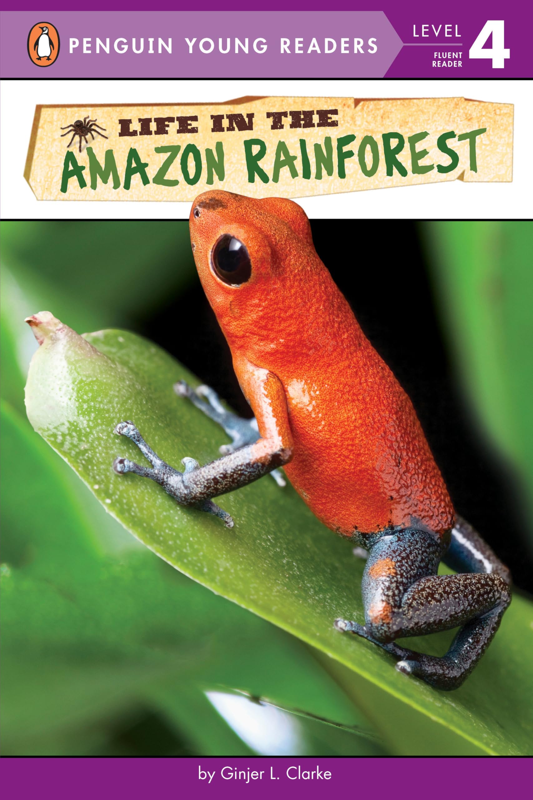 Life in the Amazon Rainforest - Penguin Young Readers Level 4 Book | Explore Jungle Animals & Ecosystem for Kids | Perfect for Homeschooling & Classroom Learning