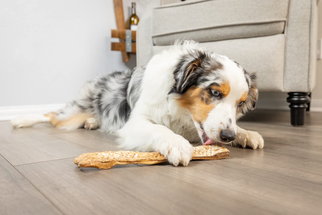 **Premium Extra Thick Beef Cheek Slices – All-Natural Rawhide Alternative Dog Chews | Peanut Butter Flavor | Small 5-6 Inch (10 Pack) – Perfect for Aggressive Chewers & Dental Health**