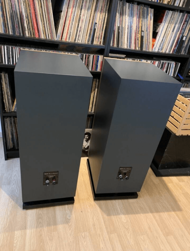 Tobian Sound Systems 12FH Full Range Horn Speakers - High Power PA Loudspeaker for Outdoor Events, Concerts & Stadiums | Weatherproof & Durable Design