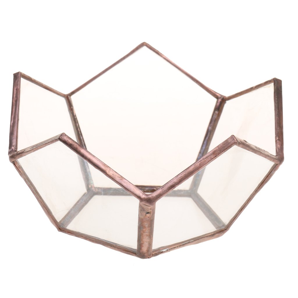 Modern Geometric Glass Terrarium Planter - Succulent & Air Plant Holder for Home, Office Desk Decor | Perfect for Indoor Plants, Mini Gardens & Wedding Centerpieces