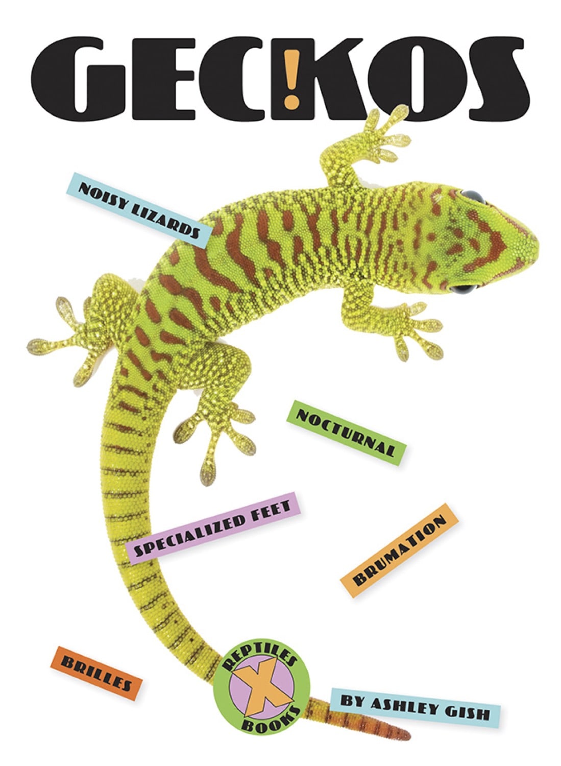 Geckos Book - ISBN 978-1-64026-081-8 | Reptile Encyclopedia for Kids & Adults | Perfect for Classroom Learning & Home Library