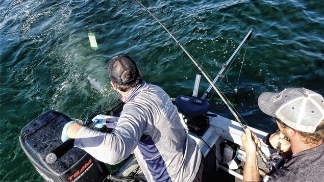 Premium Rainshadow RX4 Salmon & Steelhead Fishing Rod Blanks - High-Performance Graphite Construction for Fly Fishing & Casting in Rivers & Lakes