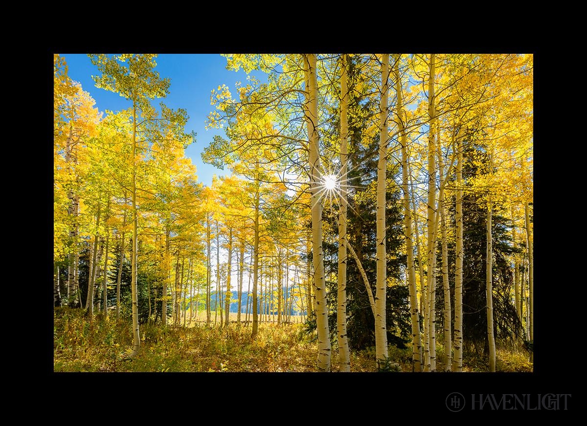 Autumn in the Rocky Mountains - Stunning Fall Foliage at Wasatch National Forest Utah | Perfect for Hiking, Photography & Nature Exploration