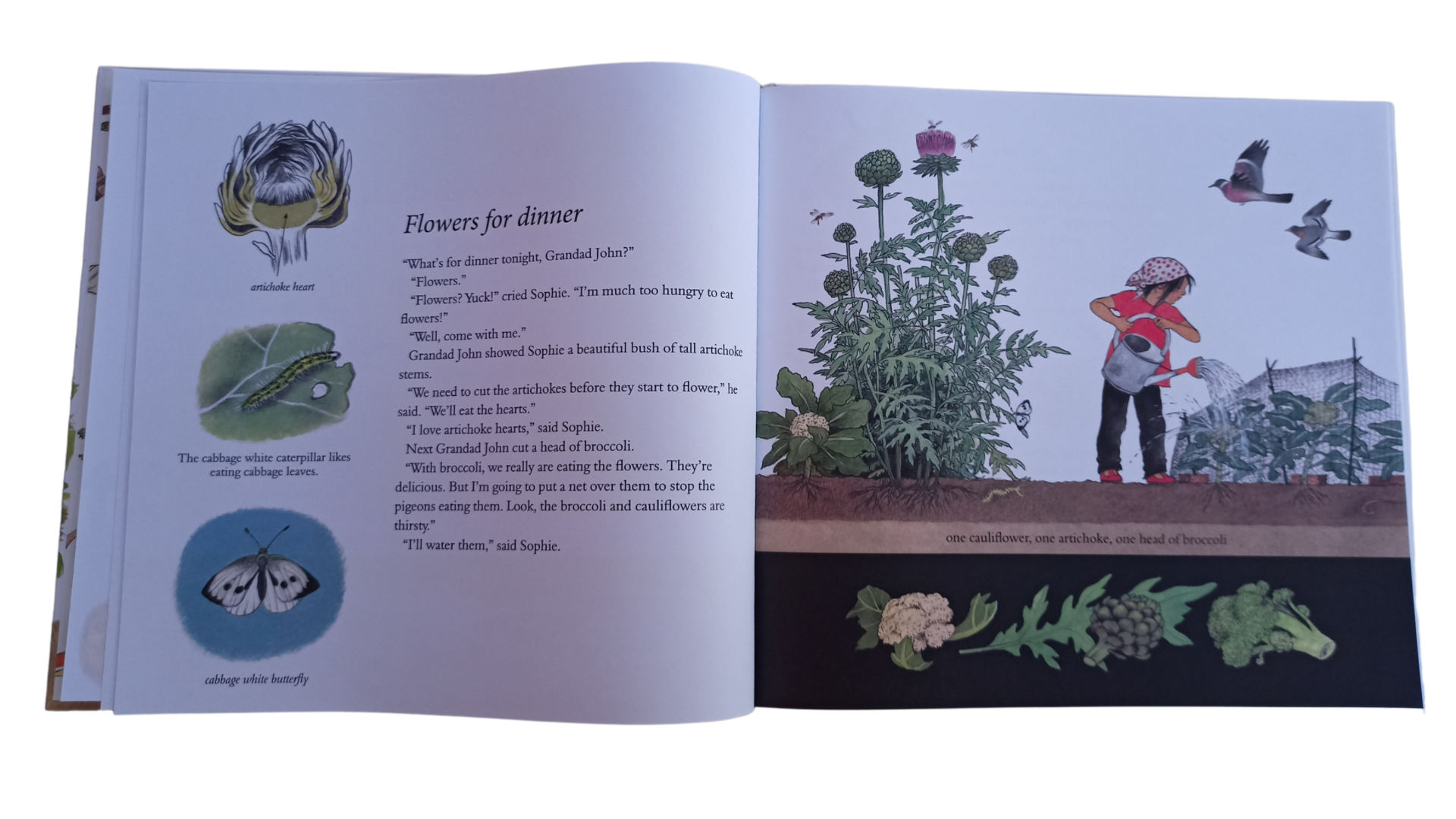 How Does My Garden Grow - Organic Gardening Tips & Plant Care Guide for Home Gardeners | Indoor & Outdoor Planting Ideas