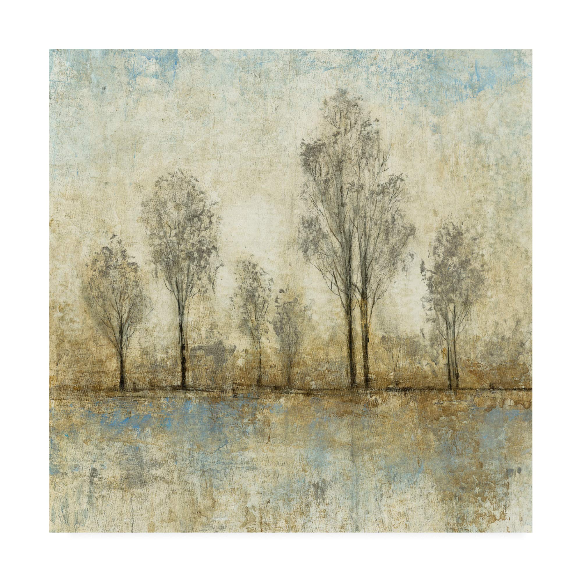 Trademark Fine Art - Tim Otoole's 18x18 Quiet Nature III Canvas Wall Art - Serene Landscape Painting for Living Room, Bedroom & Office Decor