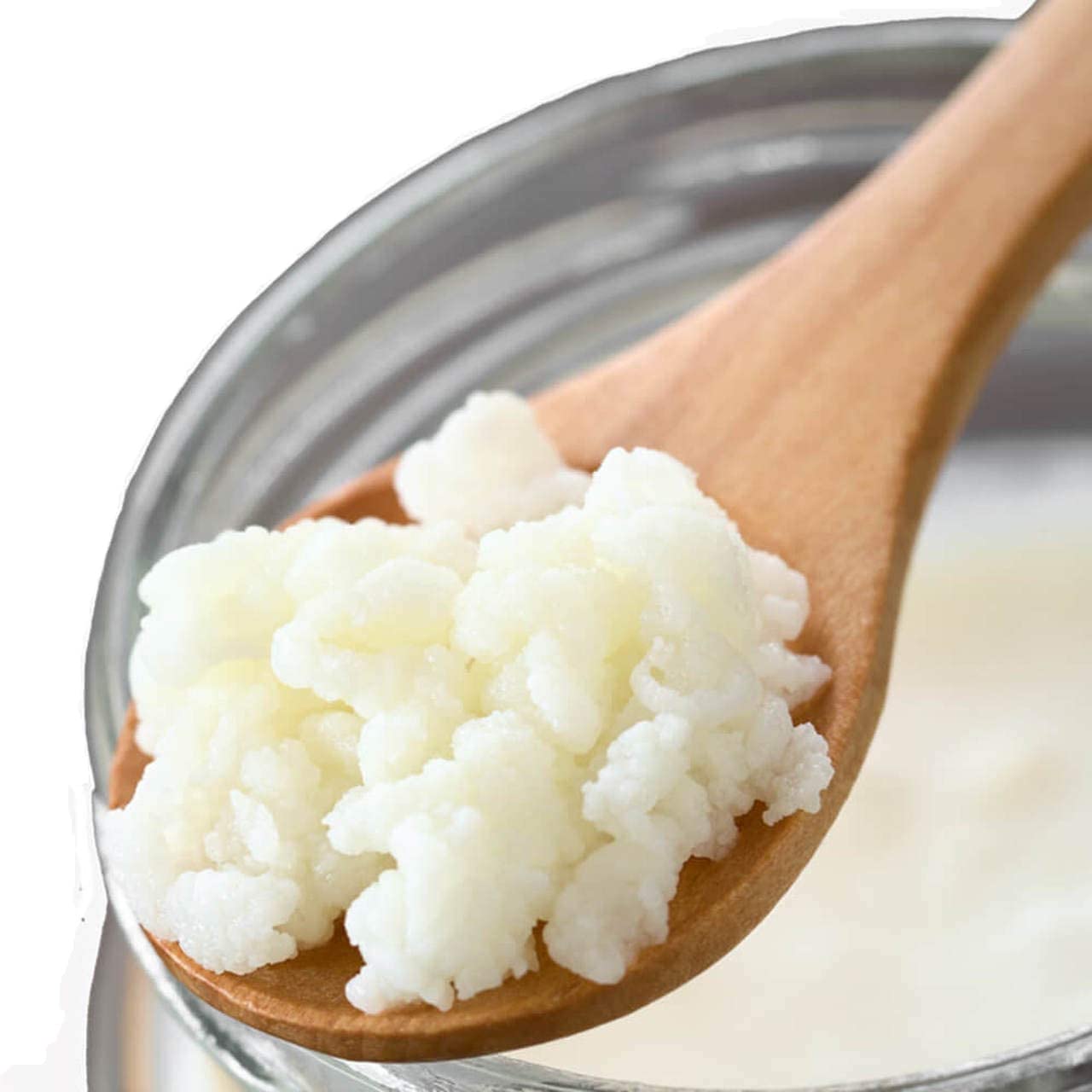 Organic Milk Kefir Grains Starter Kit - Live Probiotic Culture for Homemade Fermented Drinks with Whole Milk, Almond Milk, Goat Milk or Coconut Milk | Perfect for Gut Health, Smoothies & Healthy Breakfast