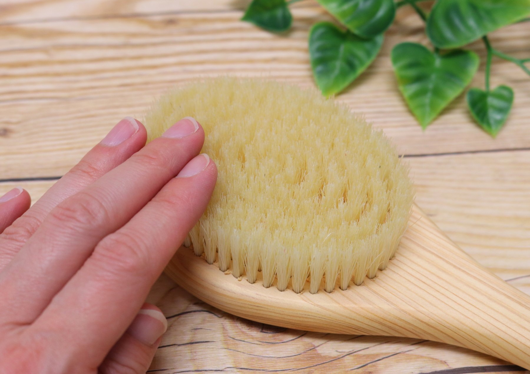 Ishimizu 00380 Dry Body Brush with Cypress Bristles for Exfoliation & Lymphatic Drainage - Perfect for Spa, Self-Care & Detox Routines