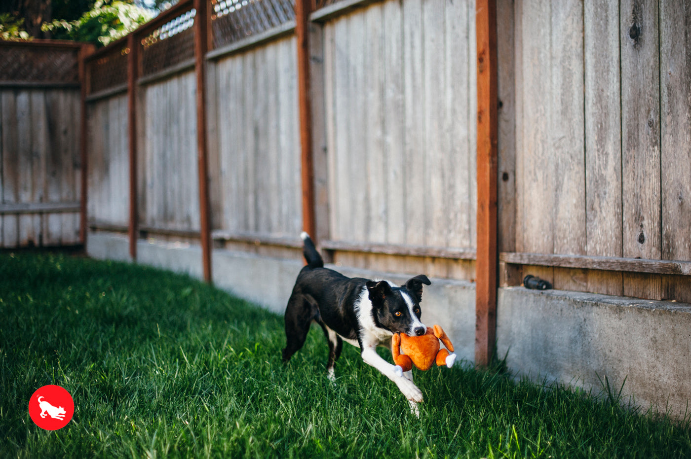El Pavo Entero Holiday Classic™ Dog Plush Toy - Soft & Durable Chew Toy for Small & Large Dogs | Perfect for Thanksgiving, Christmas & Playtime Fun | Pet P.L.A.Y.