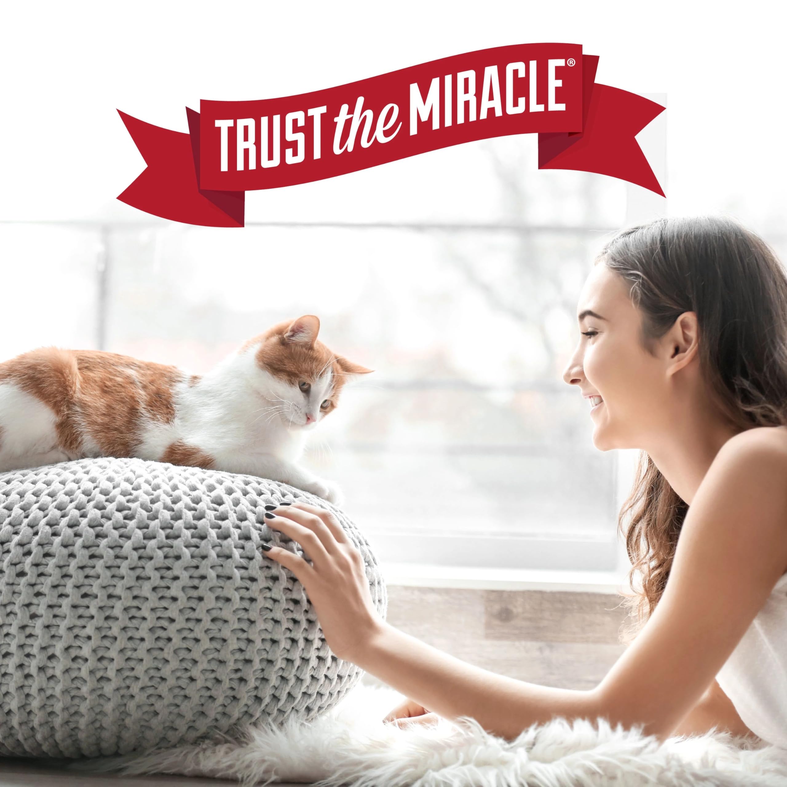 Nature's Miracle Advanced Platinum Cat Repellent Spray - 8 oz | Indoor Training Aid for Cats | Stops Scratching & Marking on Furniture, Carpets & More