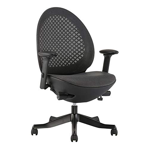 Premium Black Executive Office Chair - Scranton & Co Ergonomic High Back Desk Chair with Lumbar Support for Home & Office Workspaces