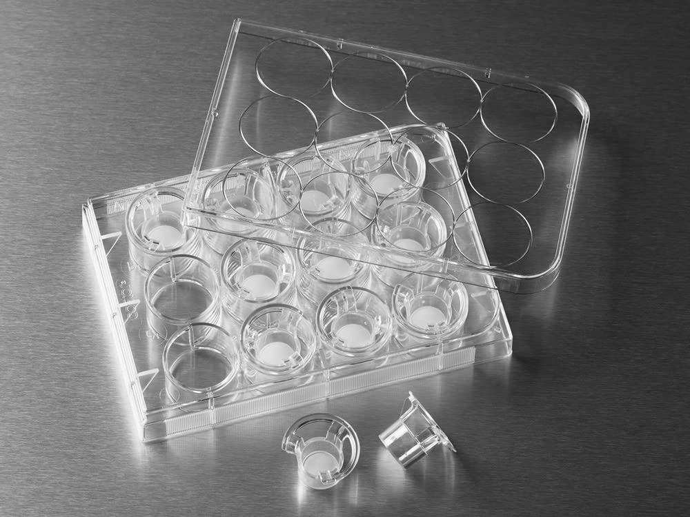 Corning Transwell 3401 Polycarbonate Sterile Tissue Culture Treated Membrane Insert - 12mm Diameter, 0.4µm Pore Size (Pack of 48) | Ideal for Cell Migration, Co-Culture & Drug Permeability Studies in Biomedical Research Labs