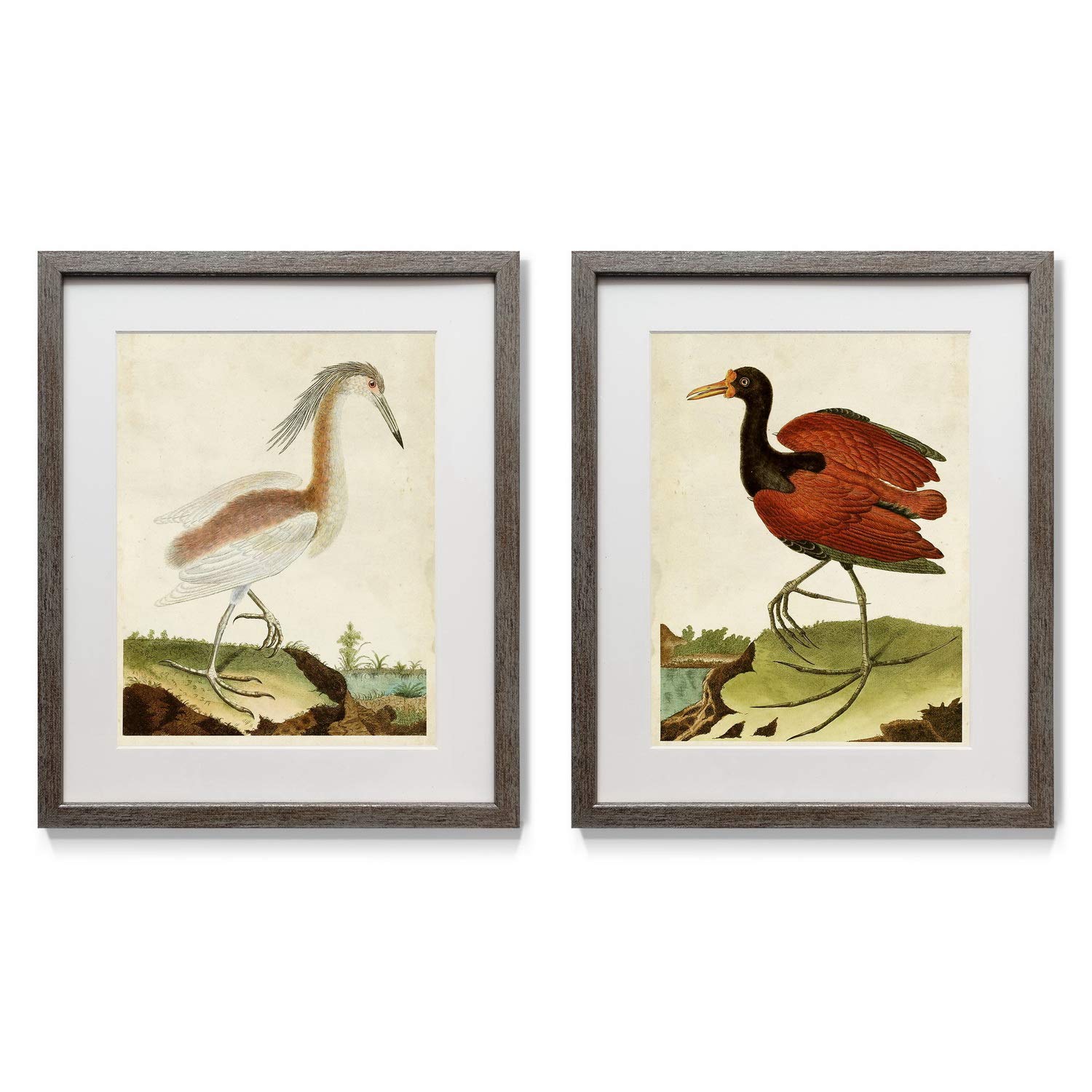 Heron Portrait Framed Art Set (2-Piece) - 16x20 Inch Colorful Bird Wall Decor with Distressed Silver Frame, White Mat & Plexiglass | Black, Red, Orange | Made in USA | Perfect for Living Room, Bedroom or Office Decor