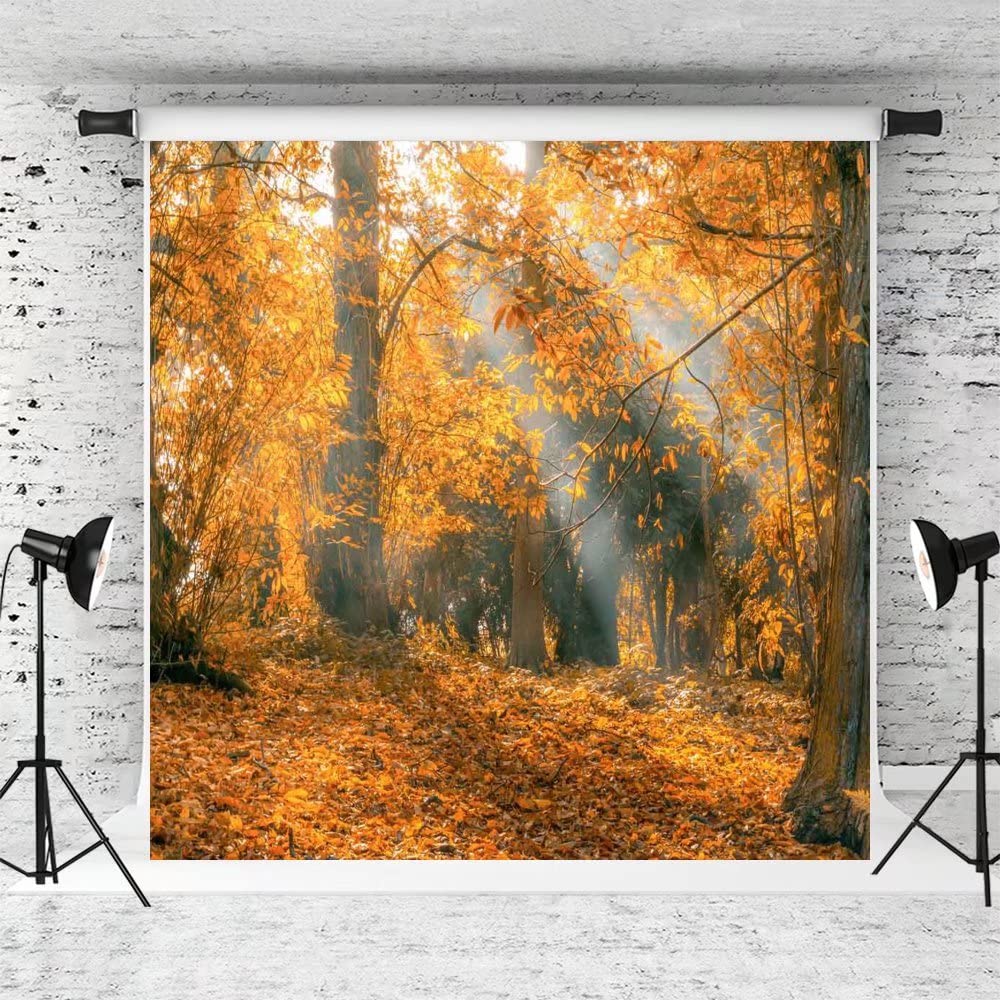Autumn Forest Backdrop 8x8ft - Fall Photography Background for Outdoor & Studio Shoots