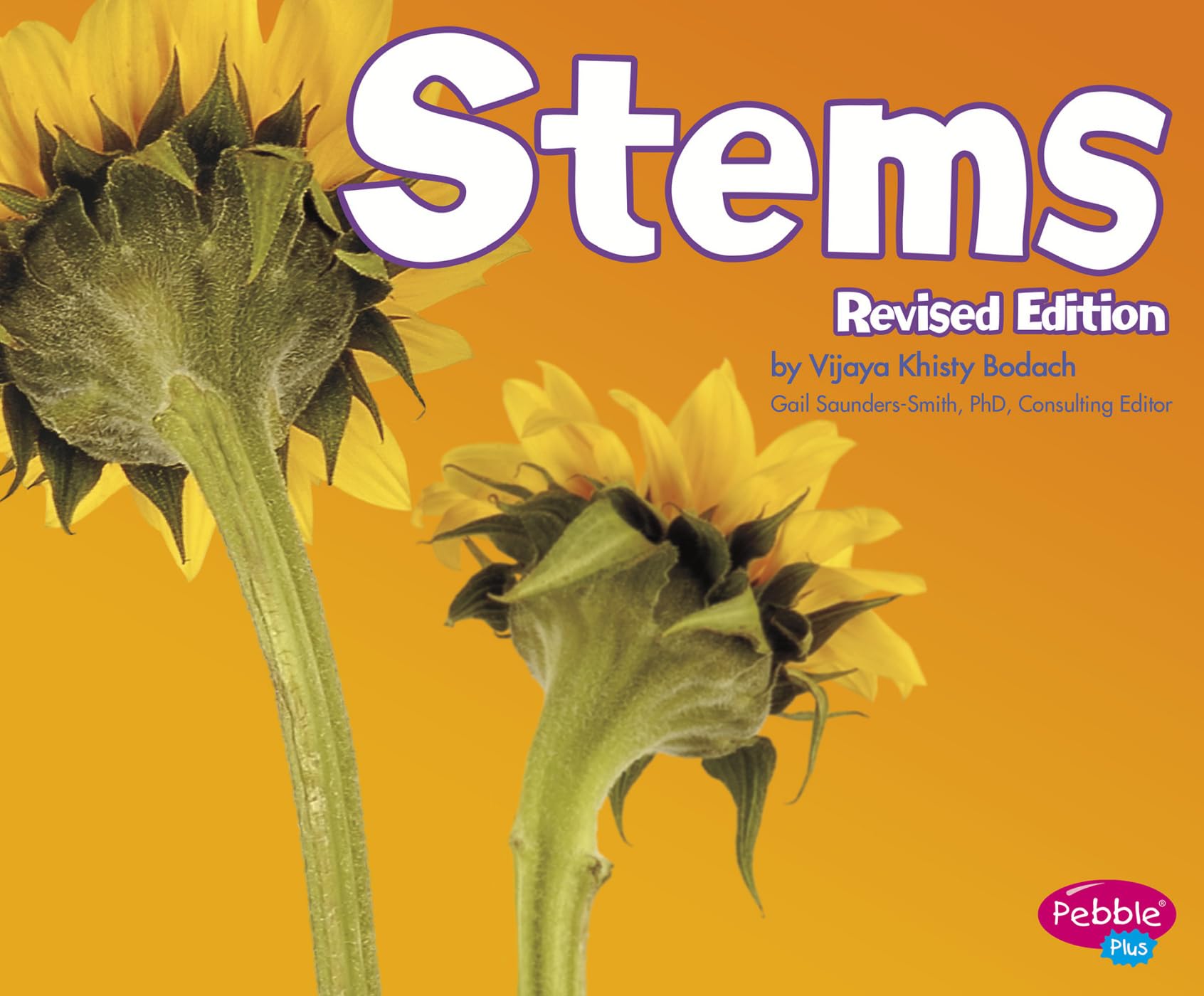 Stems (Plant Parts) - High-Quality Plant Stems for Gardening, Botany & DIY Projects | Perfect for Home Decor, Science Experiments & Educational Use