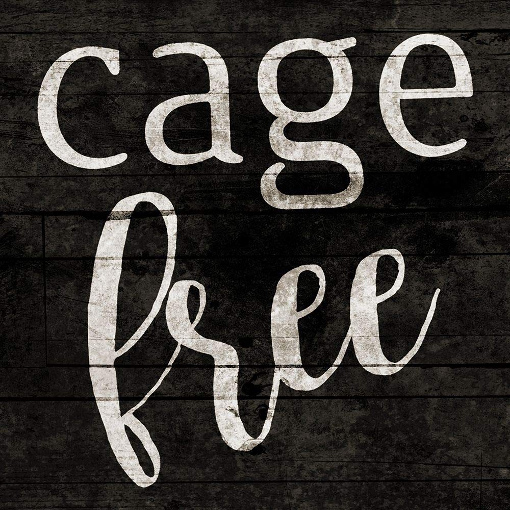 Cage Free Jace Grey Multicolor Poster Print - Premium Wall Art Decor for Living Room, Bedroom & Office