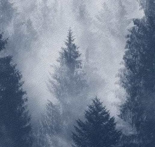 foresta grigia