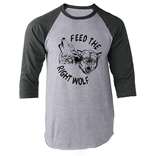 Raglan | Grey Sleeves