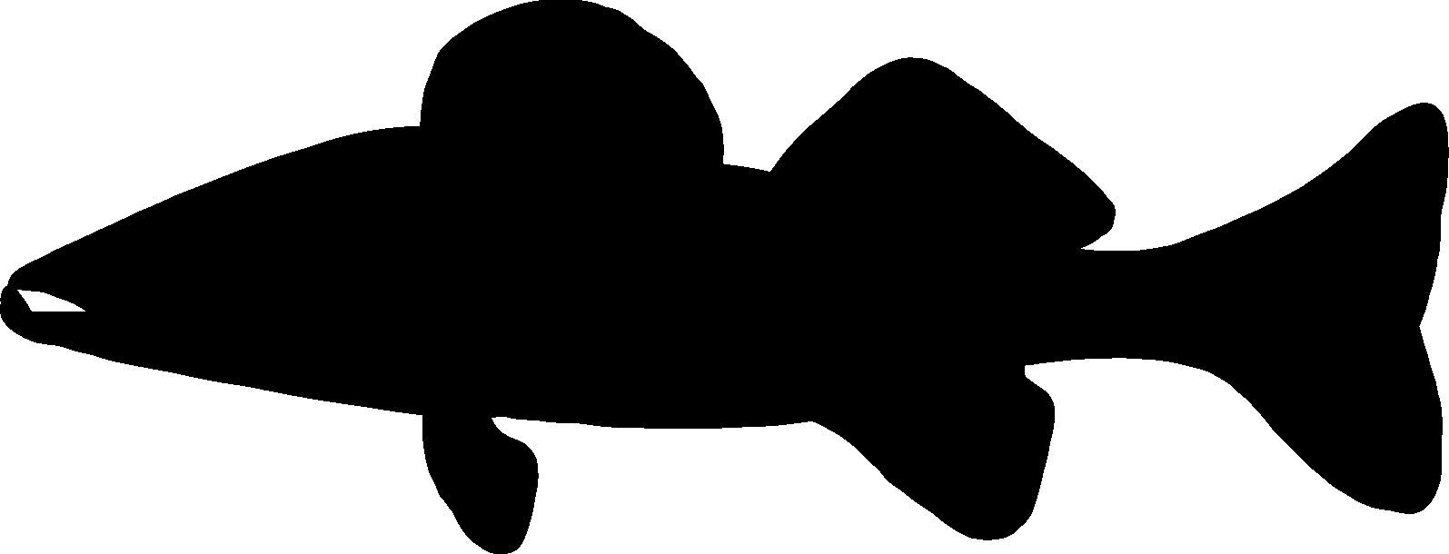 5 Inch Walleye Vinyl Decal - Premium 2.5mil Thick Outdoor-Grade Sticker for Cars, Trucks, Windows, Laptops & Tablets - Black Waterproof Decal - Perfect for Boat Fishing Enthusiasts & Outdoor Adventures