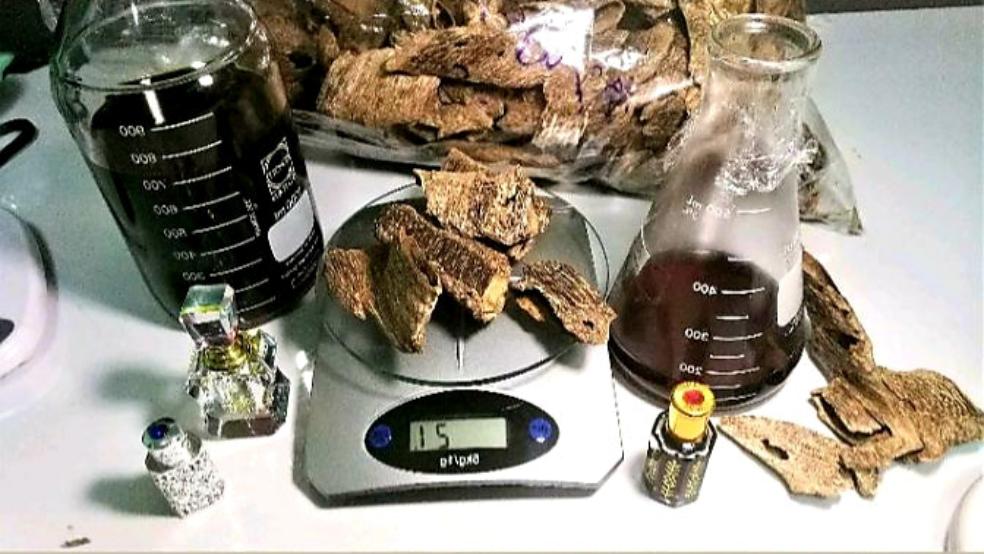 Premium A+ Grade Wild Assam Indian Agarwood Oud Oil - 3ml, 6ml, 12ml Sizes - Pure & Natural Fragrance for Meditation, Aromatherapy & Spiritual Rituals