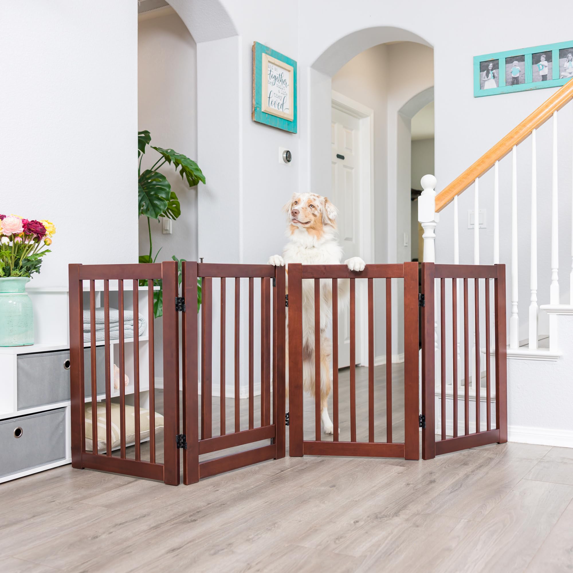 Primetime Petz 360 Configurable Dog Gate with Door – 30