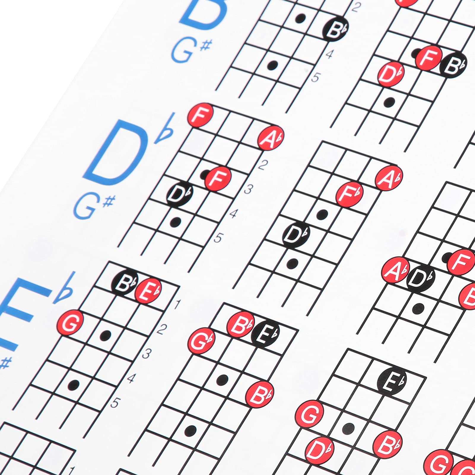 Tomotato Guitar Chord Poster - 4 String Electric & Bass Guitar Chord Chart Guide with Scales & Progressions - Perfect for Beginners & Teachers - Great for Practice Rooms, Music Studios & Home Decor