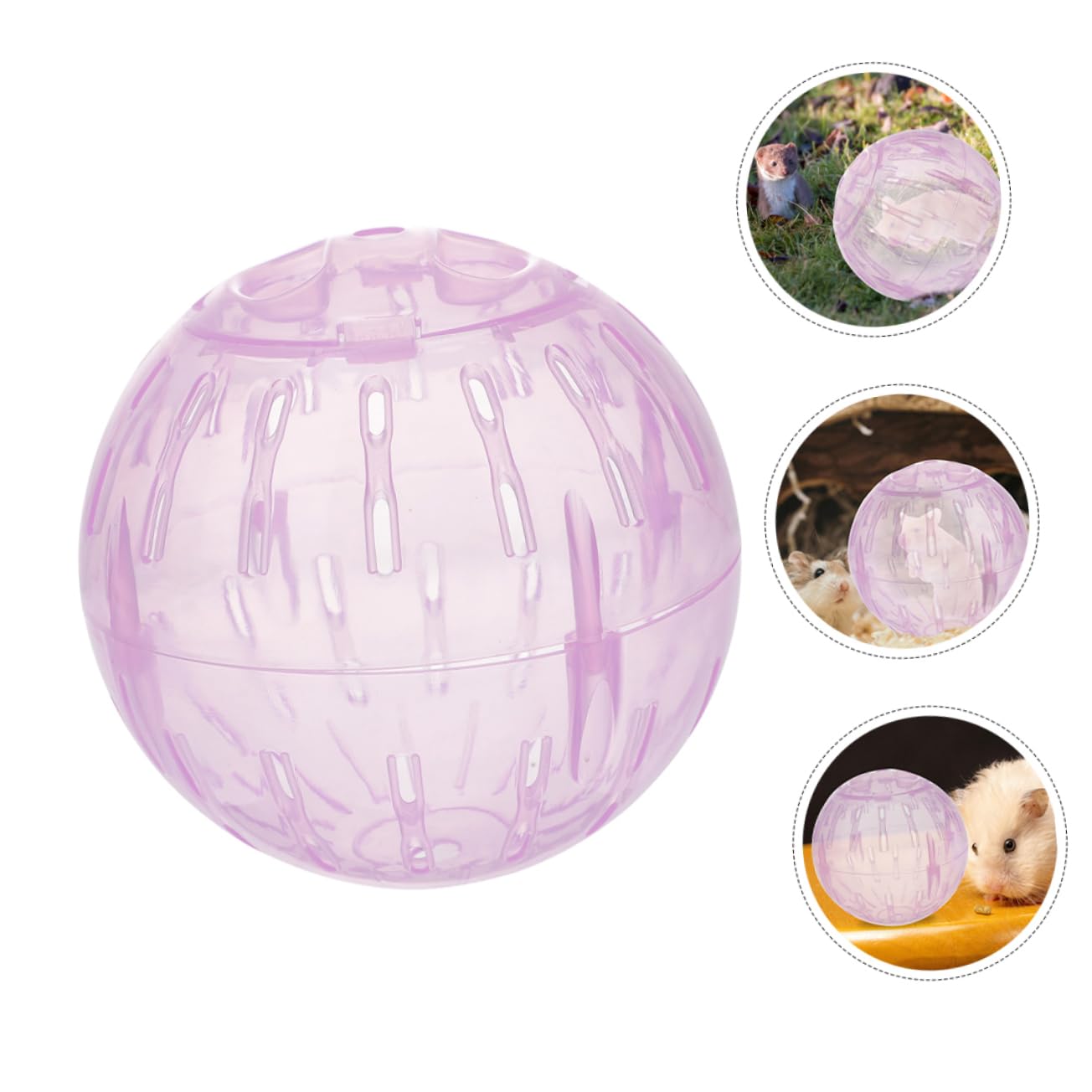 Clear Hamster Exercise Ball - Safe & Fun Running Ball for Dwarf Hamsters, Guinea Pigs, Chinchillas | Pet Exercise Toy for Small Animals | Indoor Play & Fitness Activity for Rodents