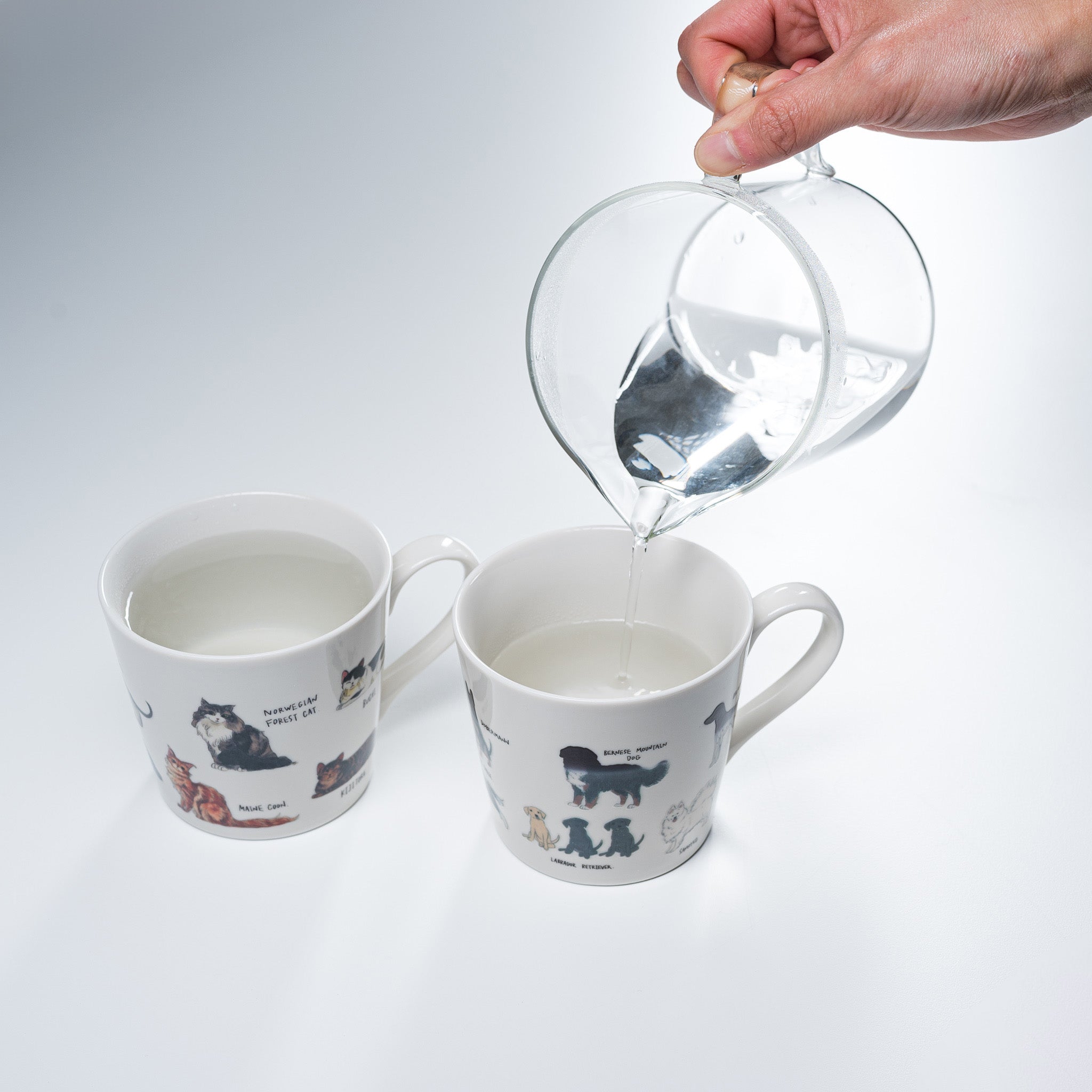 Premium Mino Ware Cat Lover's Magic Thermal Mug - Heat Changing Ceramic Coffee Cup with Cute Cat Design - Perfect for Tea, Coffee & Gift Giving