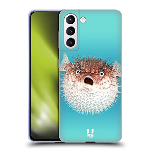 Frontal View Of Porcupinefish