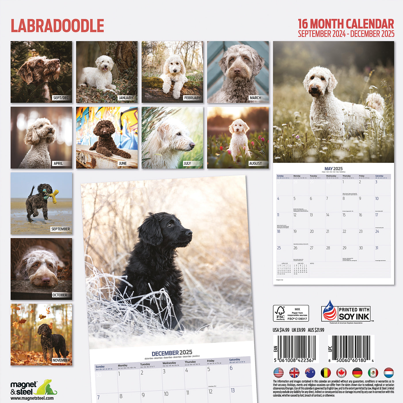 2025 Labradoodle Wall Calendar - Cute Doodle Dog Planners & Schedulers for Home, Office, or Gift | Monthly & Yearly Pet Lovers Organizer