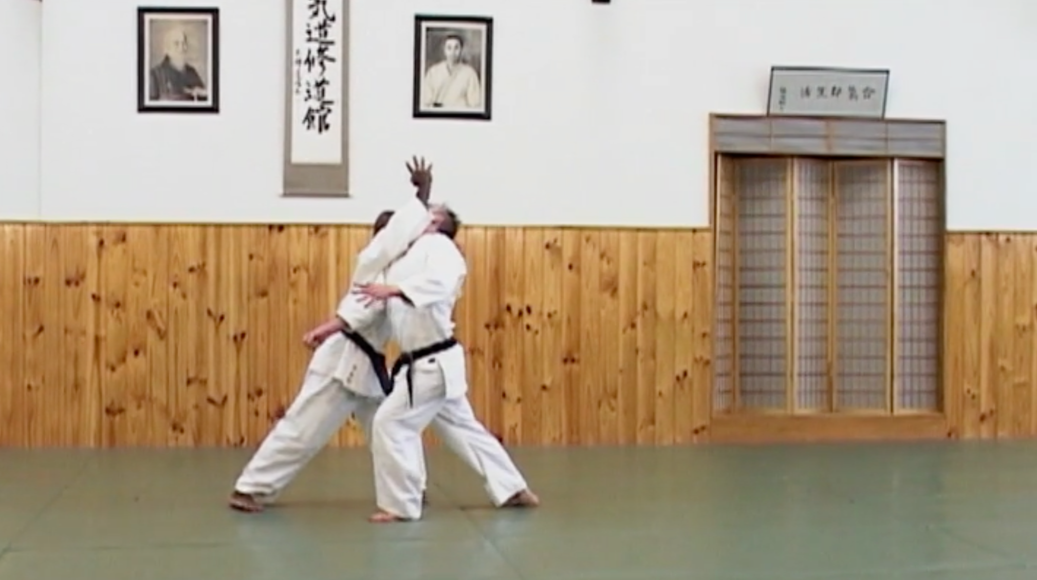 Aikido: Dynamic Variations DVD by Joe Thambu - Learn Advanced Aikido Techniques for Self-Defense & Martial Arts Training at Home