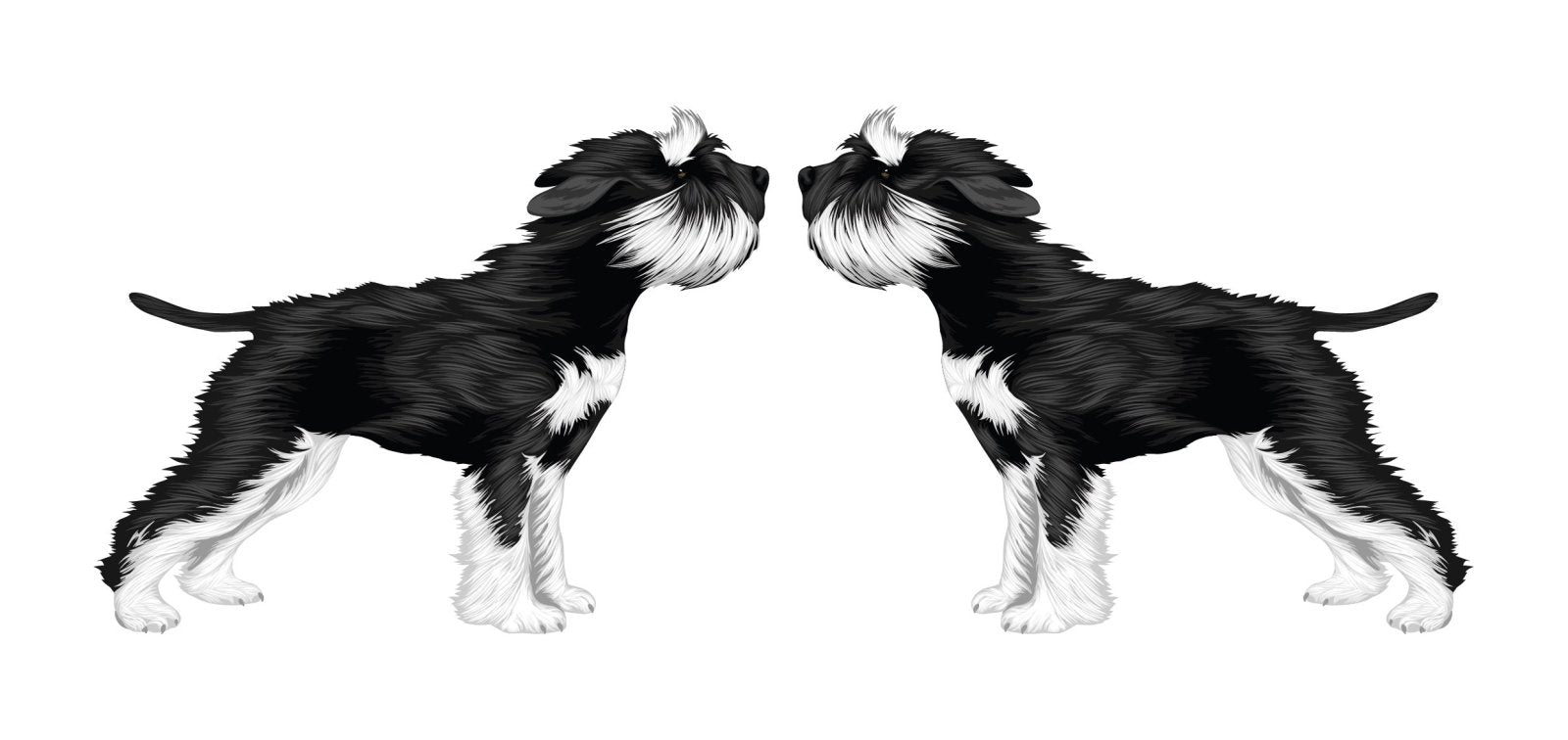 Miniature Schnauzer Car Decal Sticker - Waterproof Vinyl for Windows, Laptops, and DIY Crafts - Perfect for Dog Lovers & Pet Decor