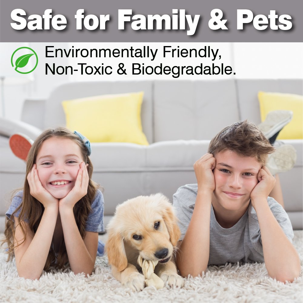 7-in-1 Pro Formula Carpet Cleaner Solution - Deep Cleans, Deodorizes & Protects Carpets | Perfect for Home, Office & Pet Stains Removal