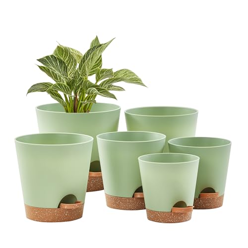 6- Green With Terracotta