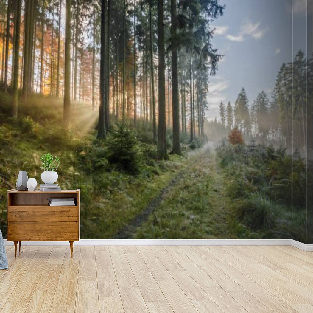 Kanworse Self-Adhesive Peel & Stick Wallpaper - Misty Autumn Forest Canvas Print, Wall Mural Decal for Living Room & Bedroom Decor | Easy DIY Home Sticker for Walls