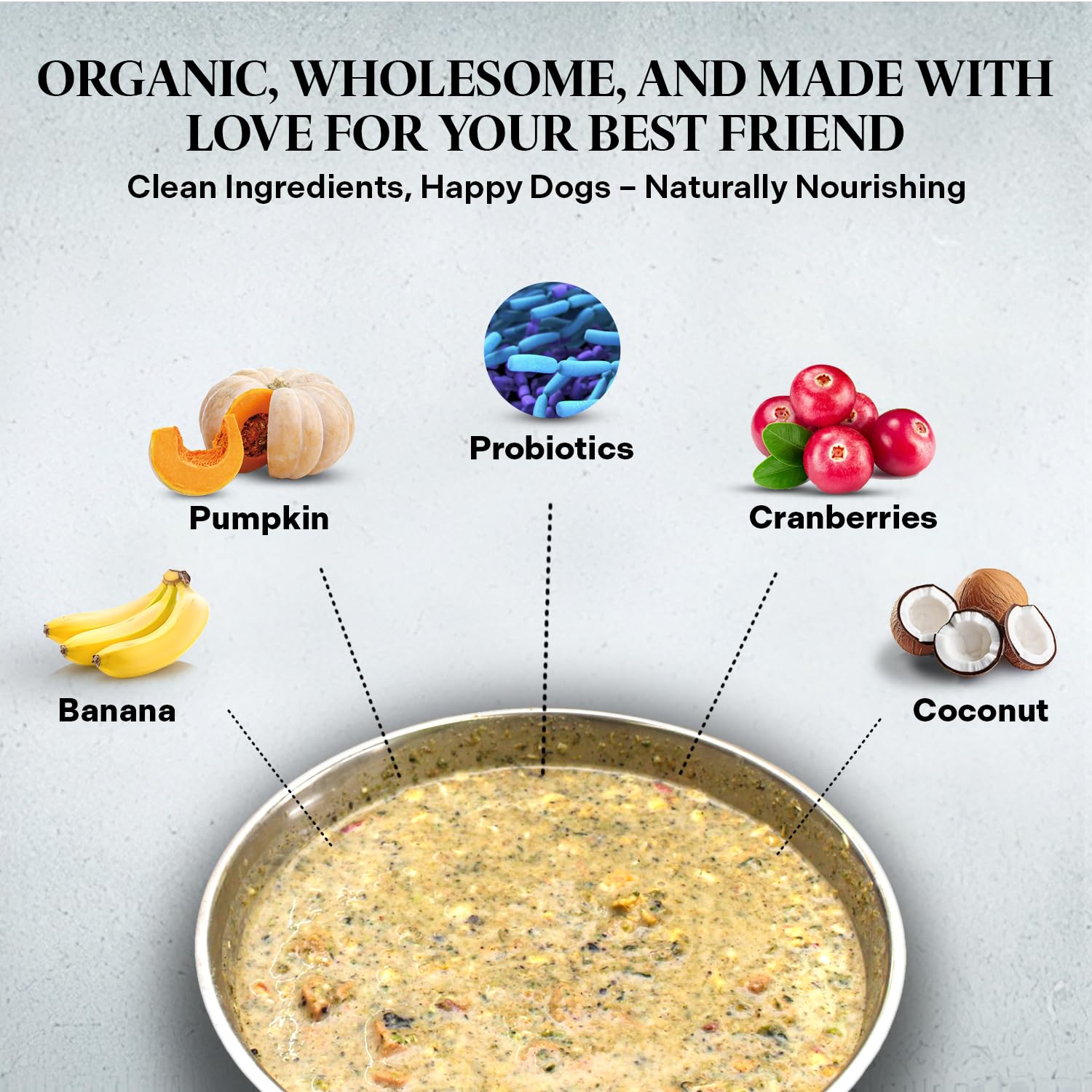 Healthy Dogma - Grain Free Dehydrated Dog Food for Sensitive Stomachs - Natural Homemade Dog Meal with Clean Ingredients, No Preservatives - Tender Tummy Formula (10lbs) - Ideal for Dogs with Digestive Issues & Food Allergies