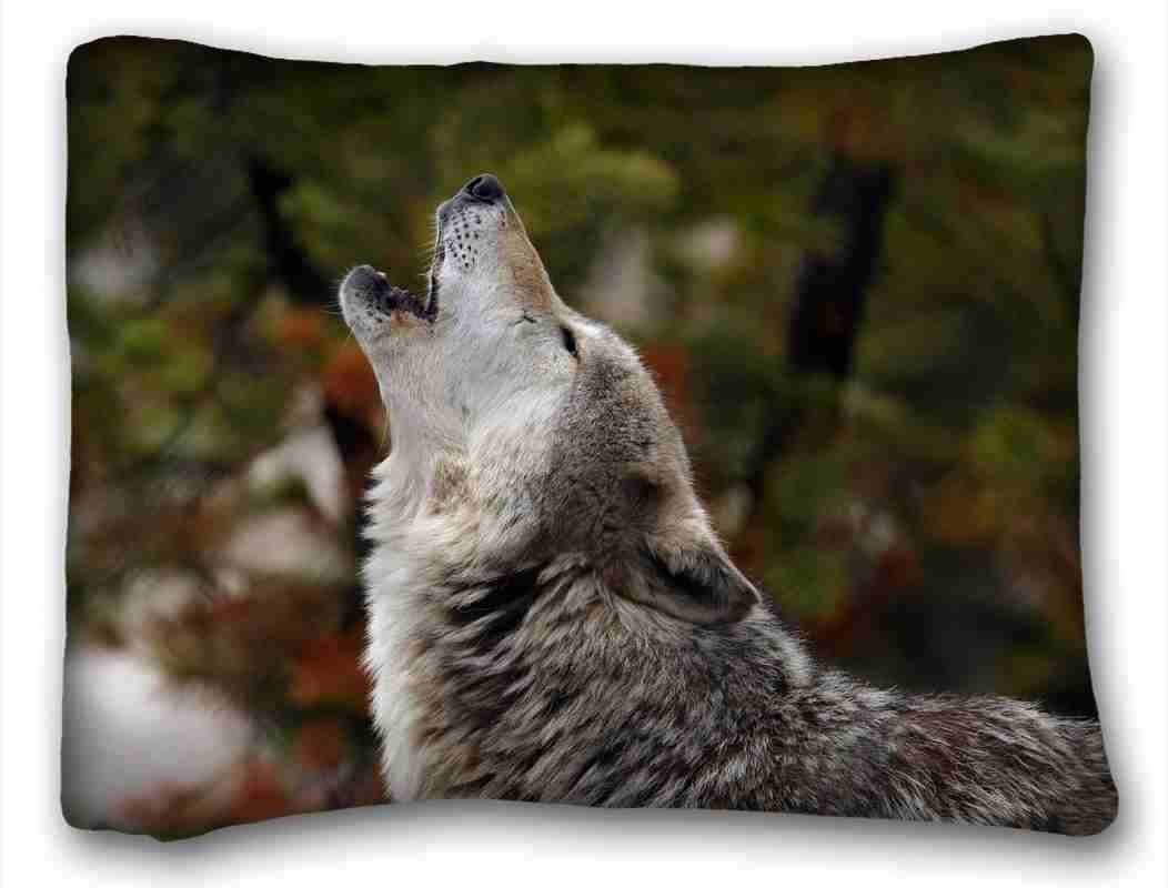 Soft Wolf & Dog Howling Printed Pillow Cover - 20x26 Inches Queen Size Pillowcase - Single Sided Animal Design for Bedroom Decor, Living Room Couch, or Gift