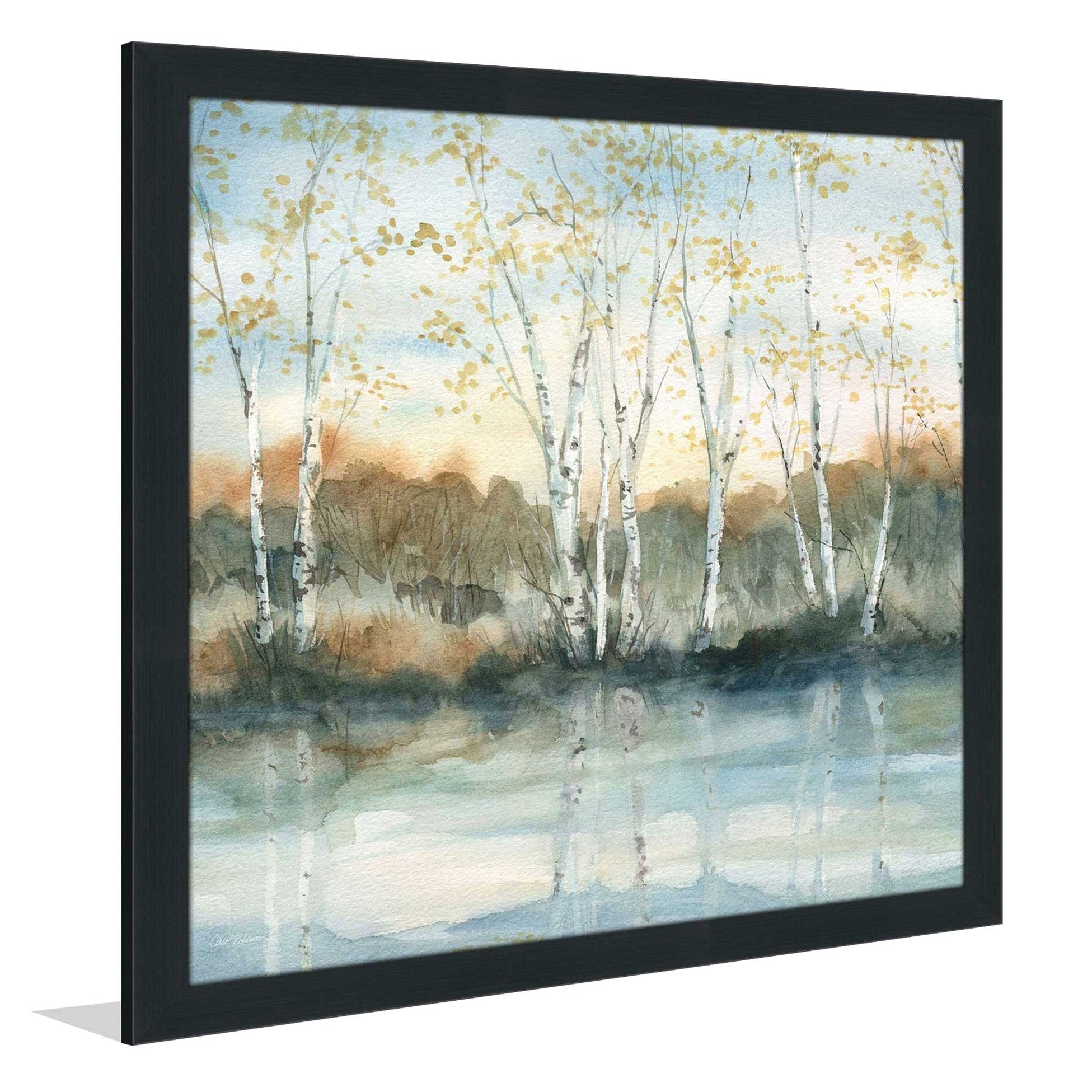 Birch Riverbank by Carol Robinson - Stunning Acrylic Wall Art Print for Home & Office Decor - Perfect for Living Room, Bedroom, or Office Space