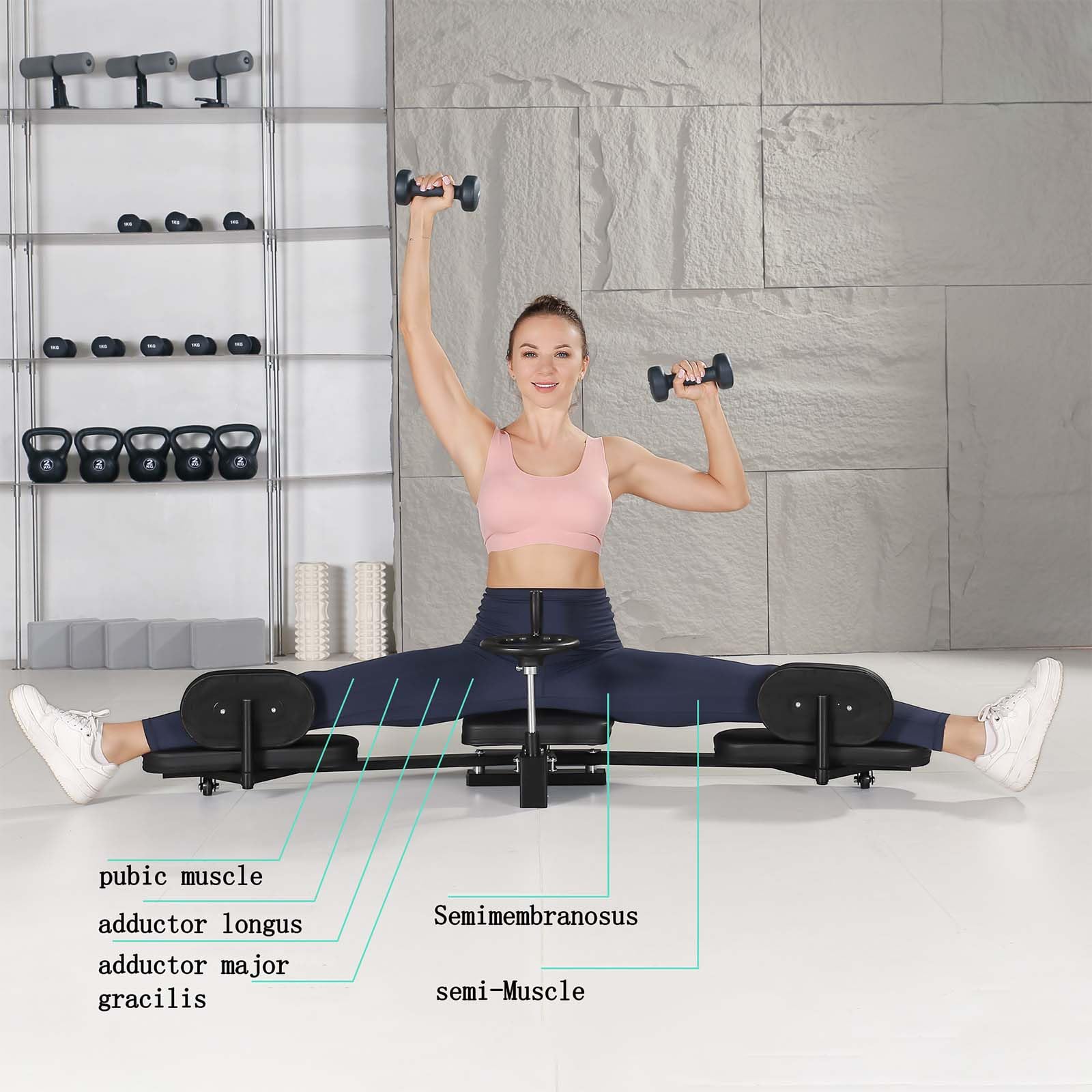 Professional Leg Stretcher Split Machine for Dancers & Athletes - Adjustable 180° Flexibility Trainer for Kids & Adults - Perfect for Dance Training, Yoga, Martial Arts & Home Workouts
