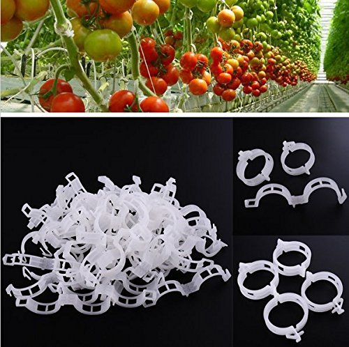 KINGLAKE 200 Pcs Plant Support Garden Clips - Tomato Vine Clips & Trellis Clips for Healthy Vertical Growth of Vine Vegetables, Tomatoes, Cucumbers | Perfect for Home Gardening, Greenhouses & Backyard Farms