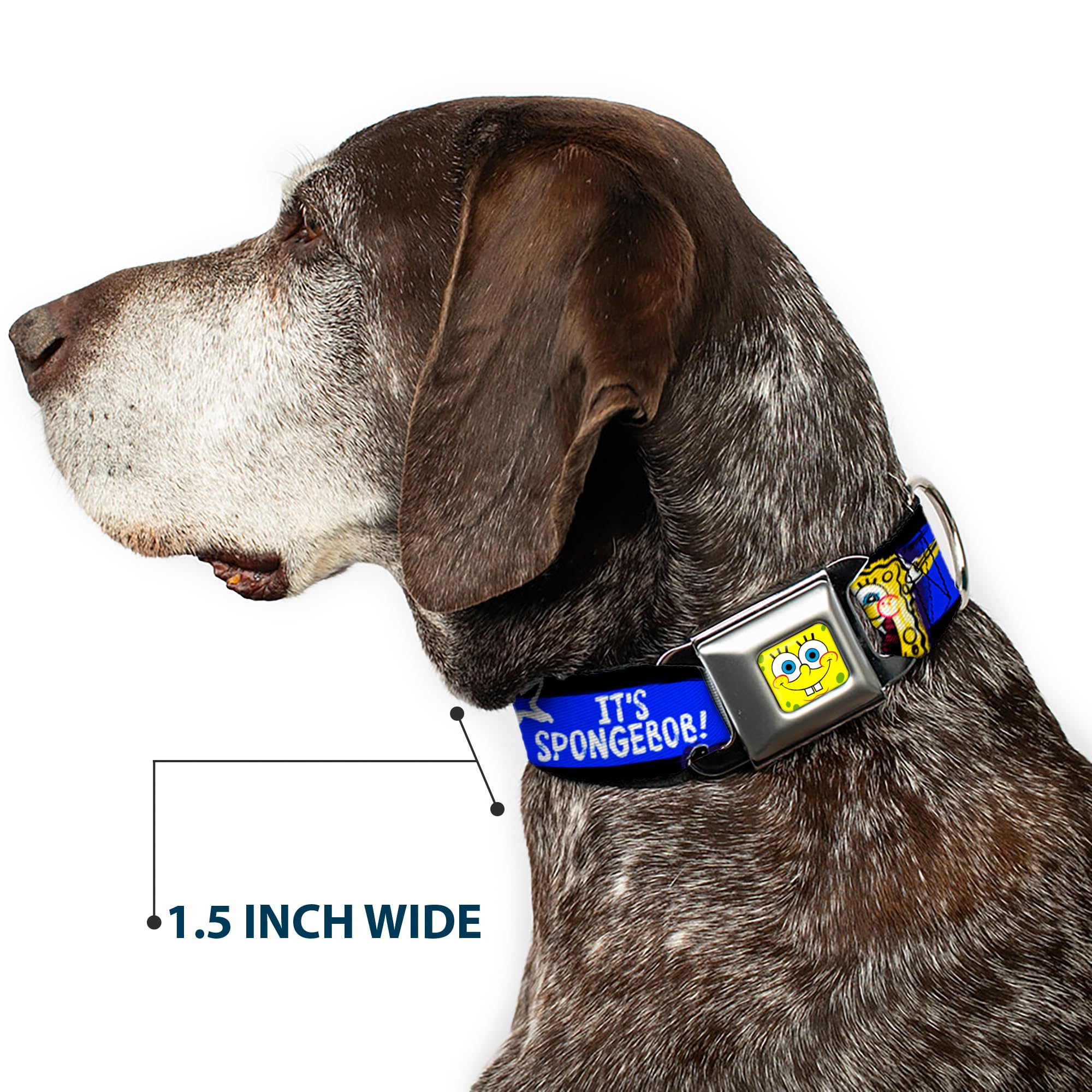**SpongeBob Dog Collar with Seatbelt Buckle - Adjustable 9-15 Inches, 1.0 Inch Wide - Black, Blue & White Stripes - Perfect for Pet Safety & Cartoon Lovers**    *(Use Cases: Great for walking, training, or car rides with your pet; ideal for SpongeBob fans and stylish dog accessories.)*