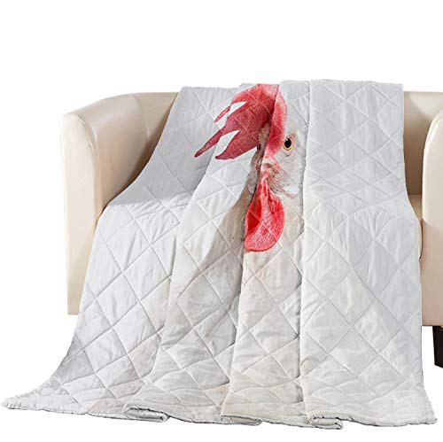 Premium King Size Quilted Bedspread - Soft White Leghorn Cotton Filled Coverlet for Bed, Couch & Sofa | Cozy Home Decor, Guest Room & Winter Bedding Essential