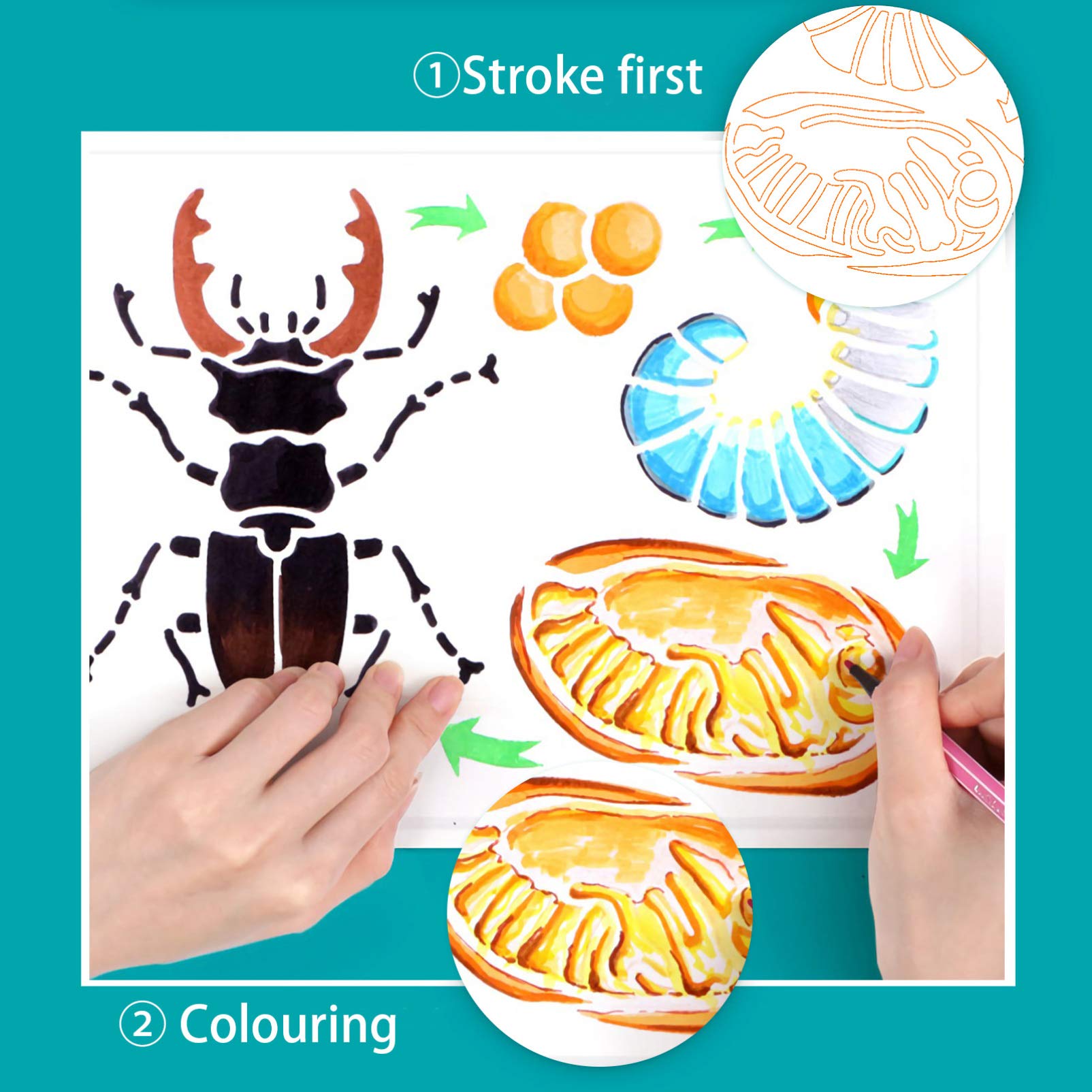 EXCEART 4 Sheets Animal Life Cycle Stencils for Kids - Educational Pet Supplies & Learning Tools - Perfect for Homeschooling, Classroom Activities & DIY Crafts