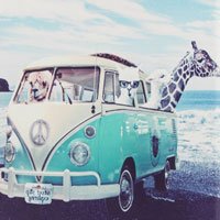 004 Animal Bus