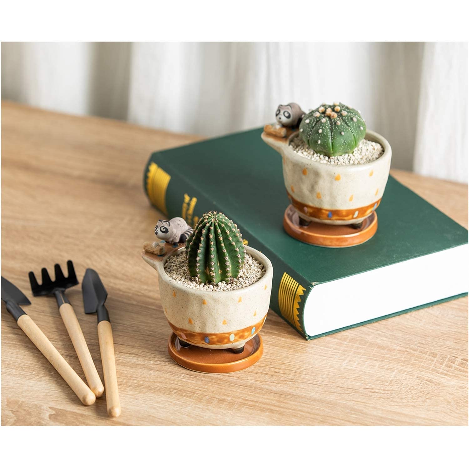 Ceramic Succulent Planter with Drainage Hole & Tray - Small Cactus Flower Pot for Home, Office Desk Decor - Perfect for Indoor Plants, Shelf Display, and Gift Ideas (Raccoon Design)