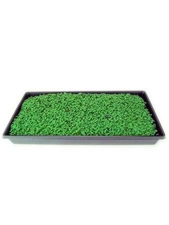 Organic Black Chia Sprouting Seeds - 30 Lb Bulk Non-GMO Chia Seeds for Microgreens, Sprouts & Hydroponics | Perfect for Home Gardening, Smoothie Bowls & Healthy Eating