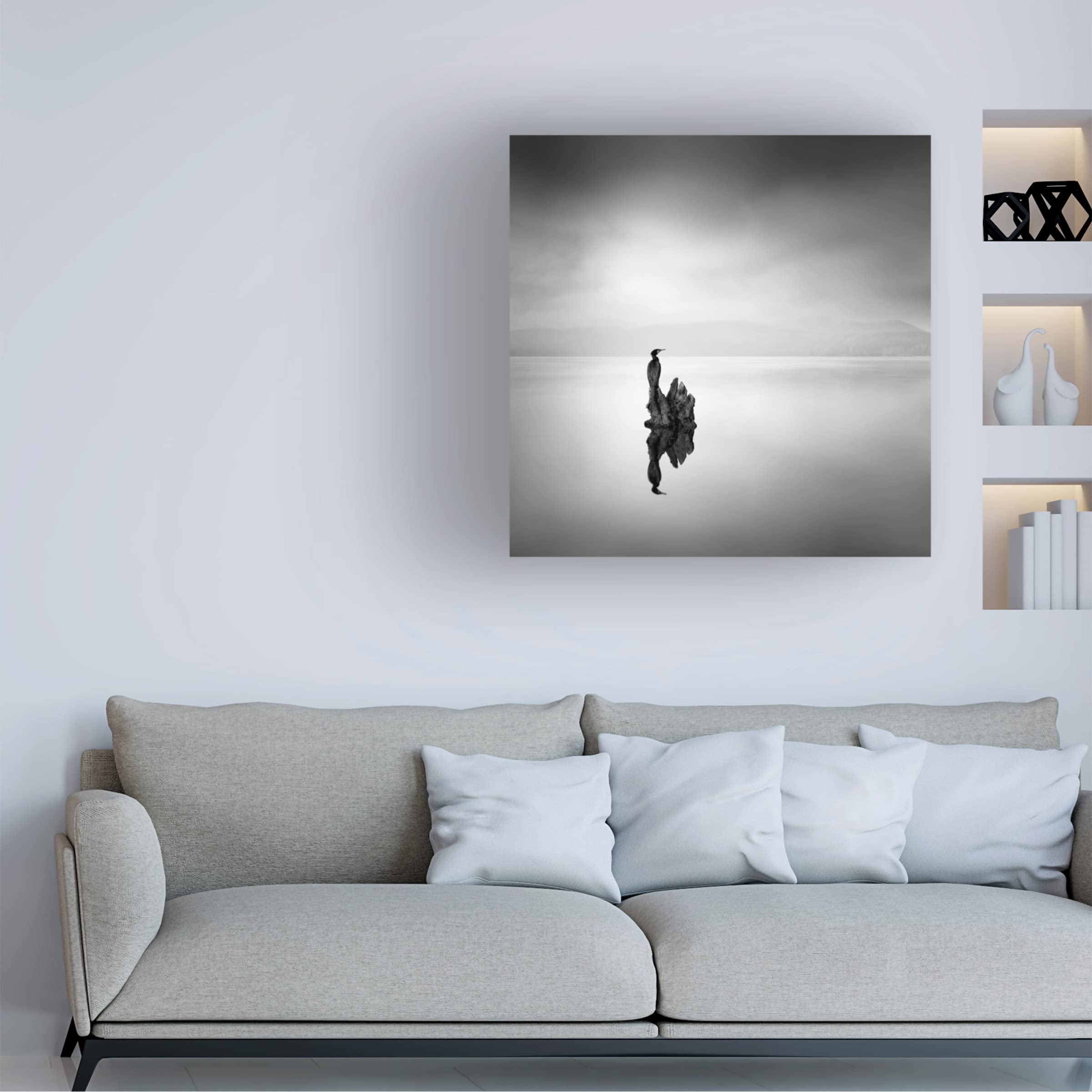 George Digalakis 'Cormorant 2' Canvas Wall Art Print - Modern Coastal Bird Photography for Living Room & Bedroom Decor