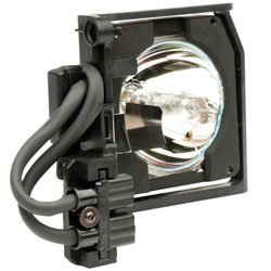 Technical Precision Replacement Lamp Bulb for DATASTOR PL-172 Projector TV - High Brightness, Long Lifespan - Perfect for Home Theater, Office Presentations & Classroom Projectors