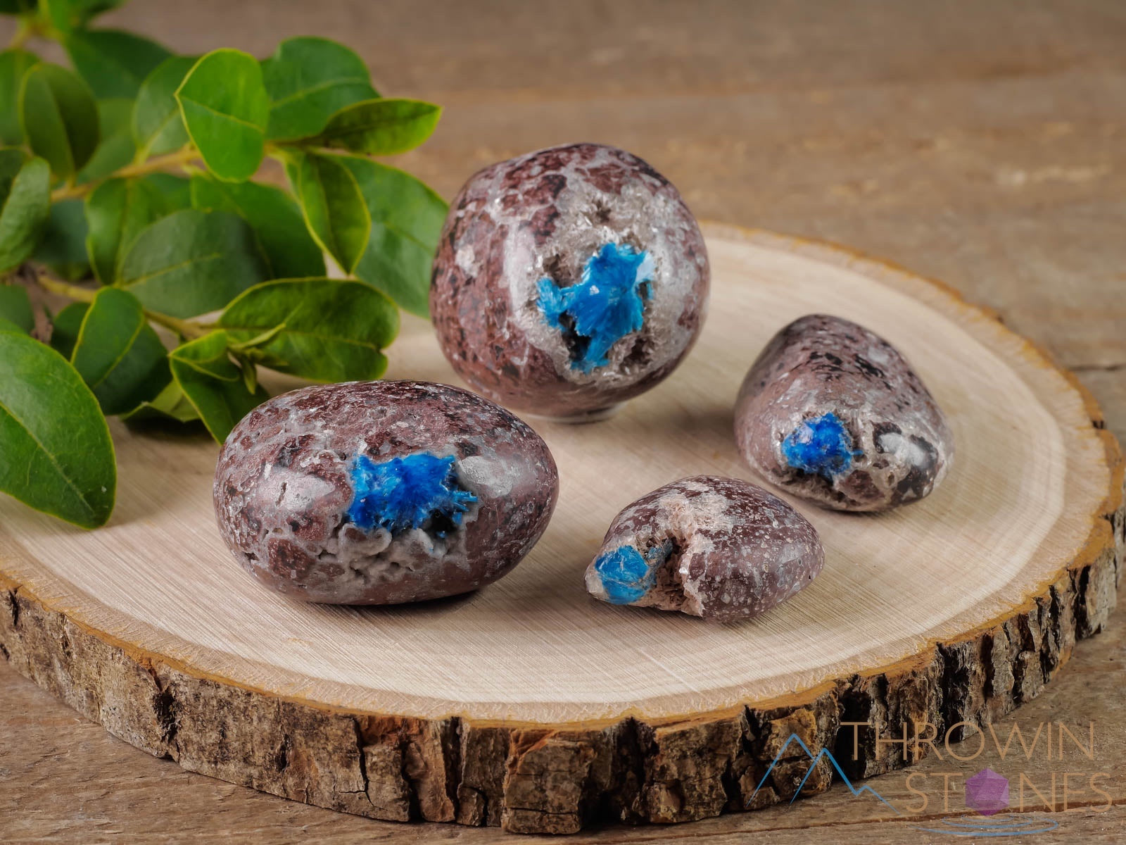 CAVANSITE Tumbled Stones - Natural Healing Crystals for Meditation, Chakra Balancing & Energy Work | Self Care Gemstones for Stress Relief & Spiritual Growth