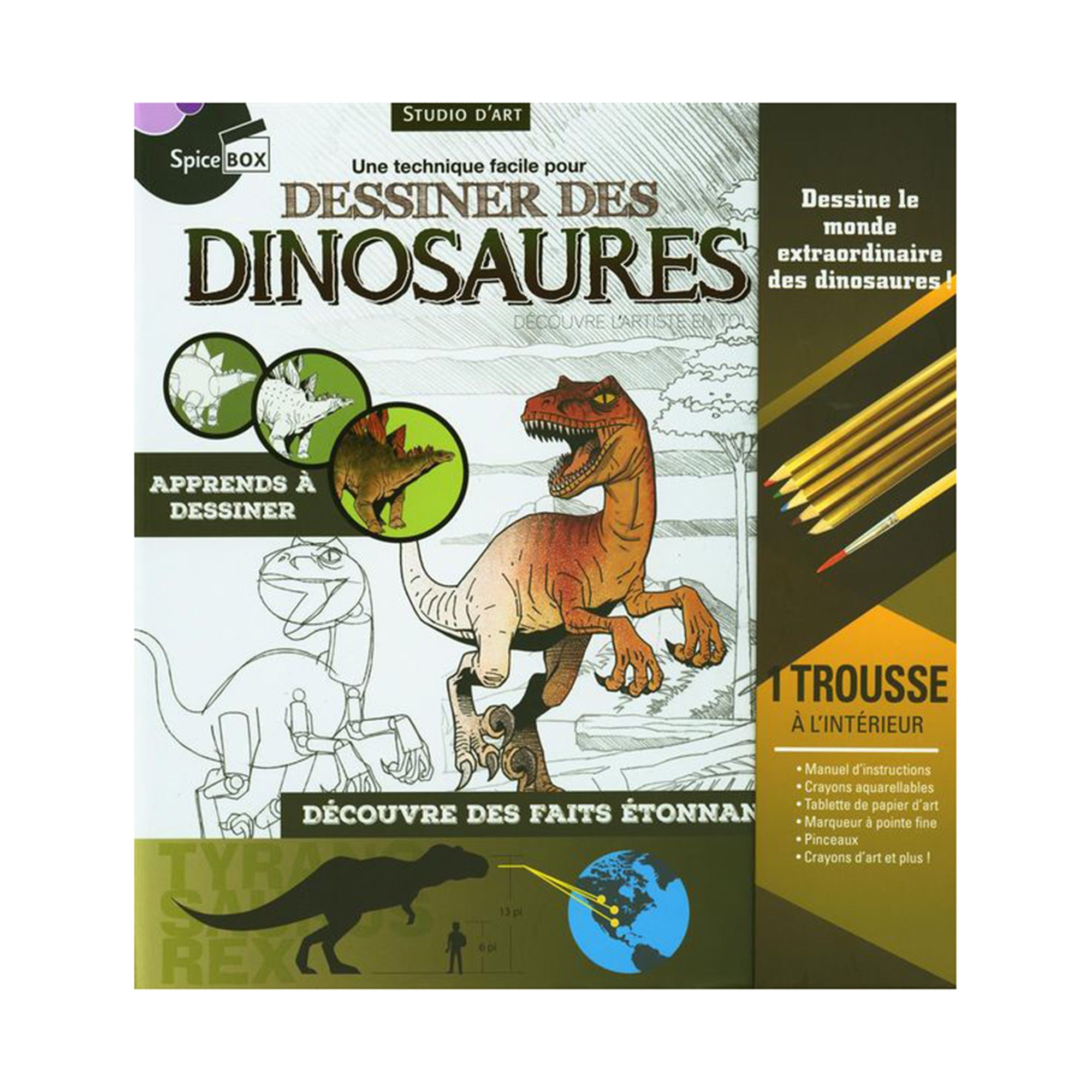 Dinosaur Sketch Box - French Edition | Creative Drawing Kit for Kids & Adults | Perfect for Art Classes, Home Decor & Gift Ideas